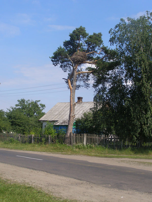P6300085