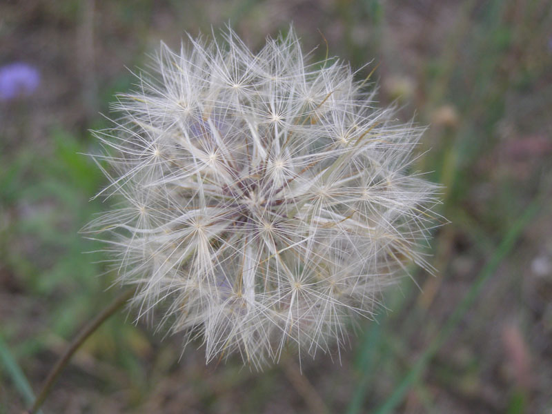 P6300110