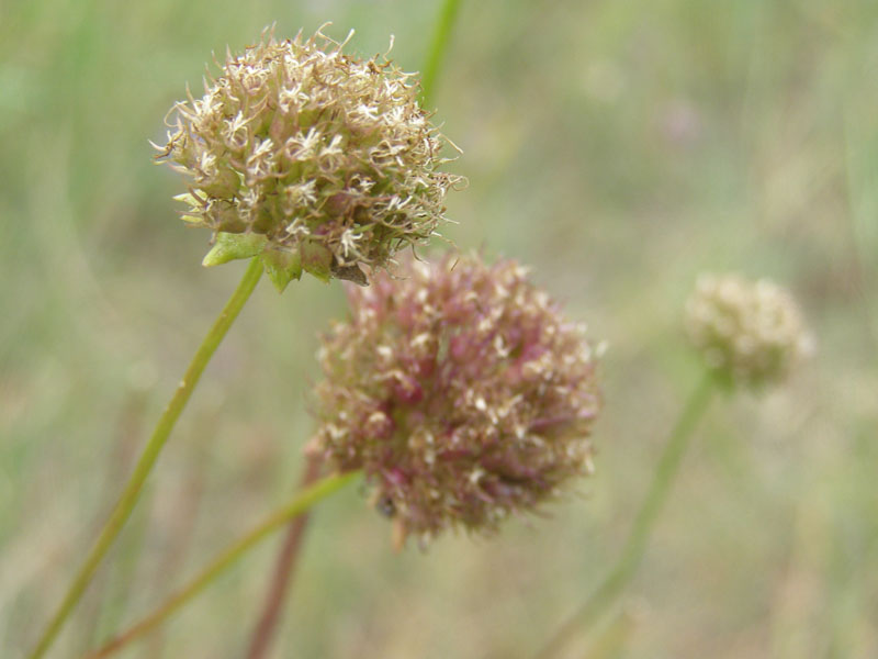 P6300117