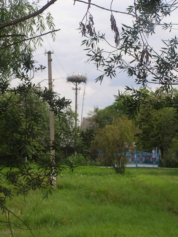P6300136