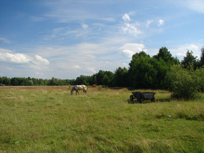 DSC01383