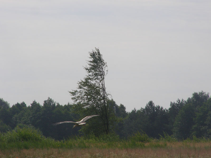 P7010140