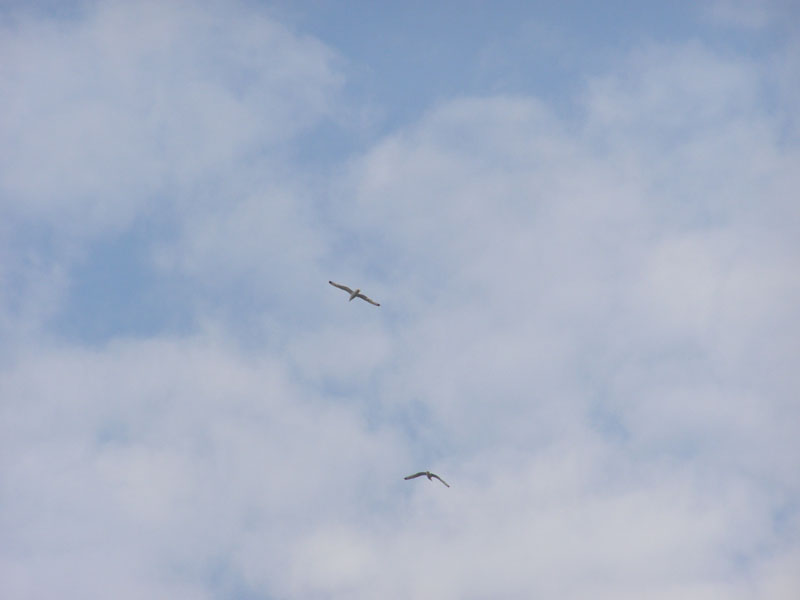 P7010148