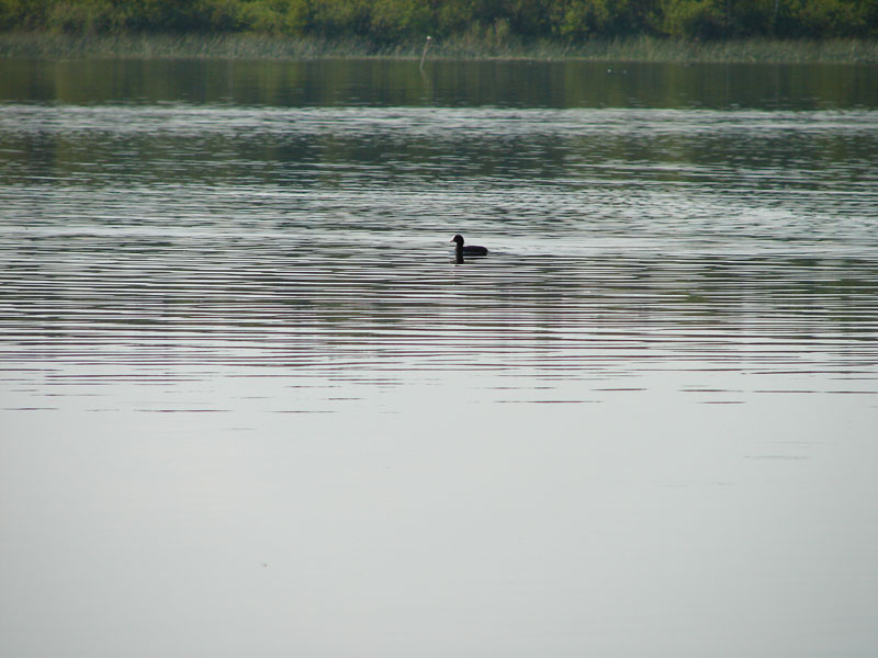 DSC01450