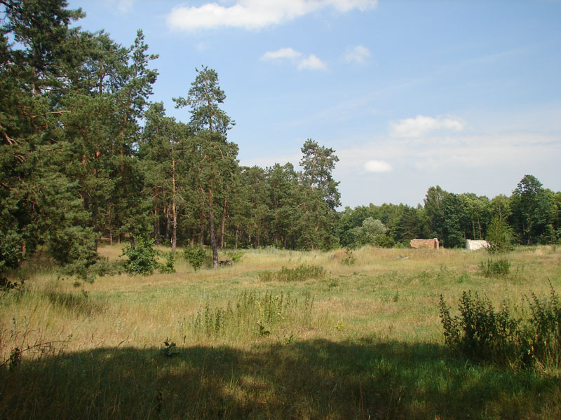 DSC01511