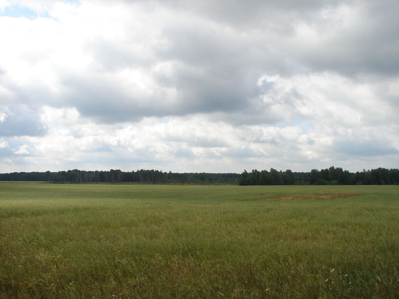 DSC01834