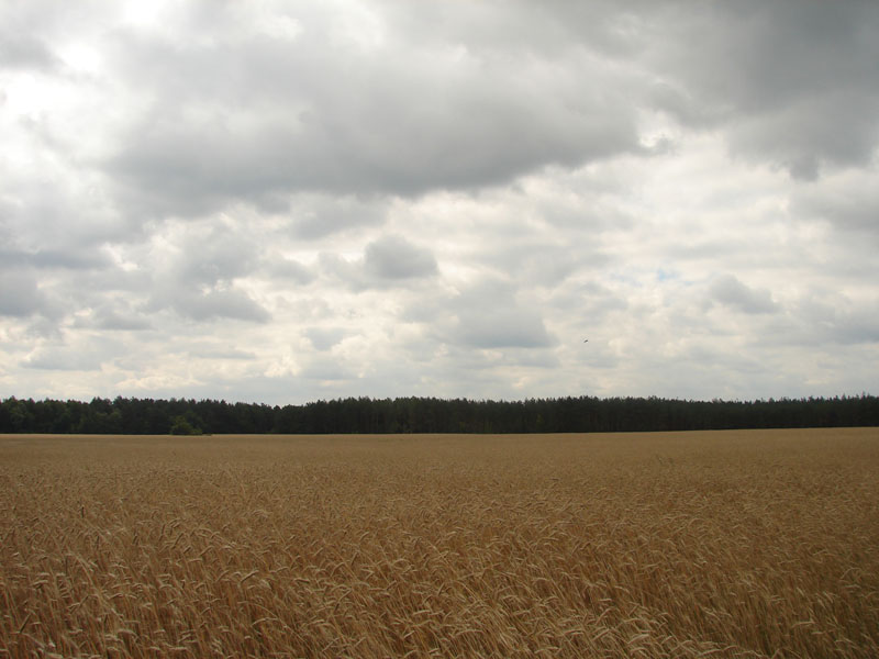 DSC01857