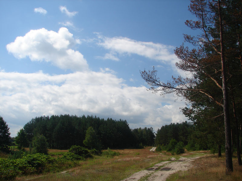 DSC01872
