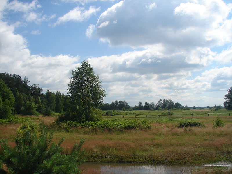 DSC01899