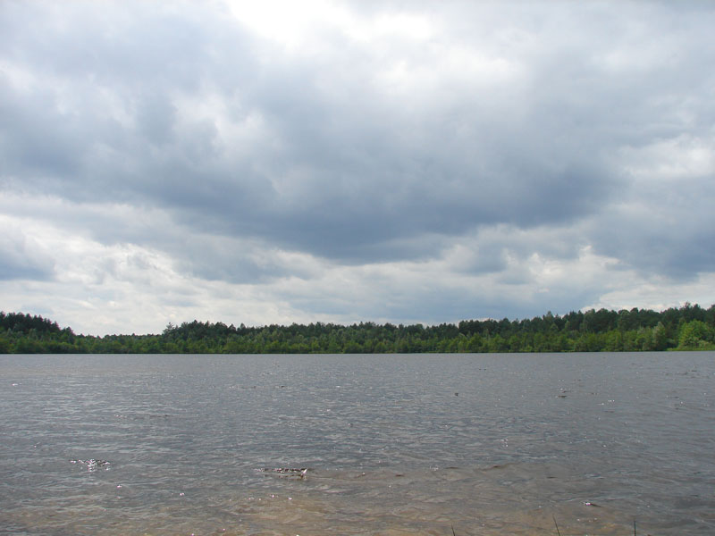 DSC01905