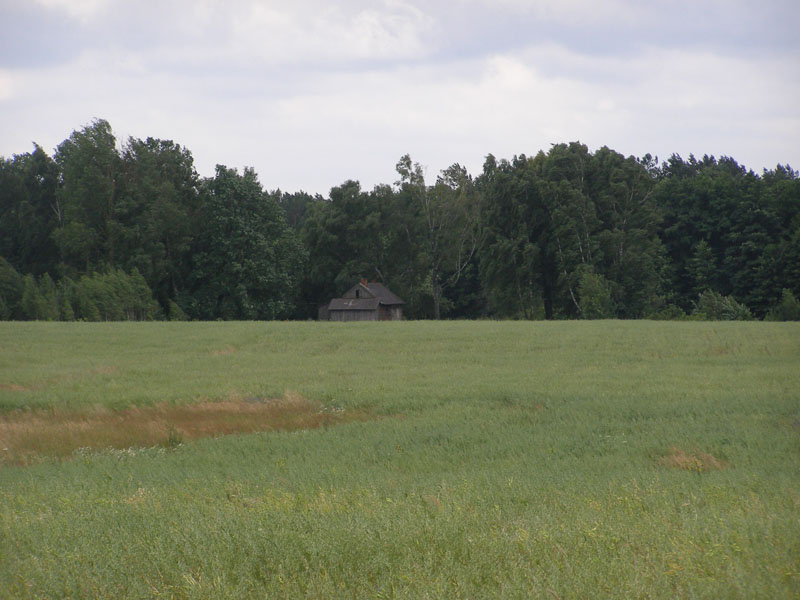 P7080326