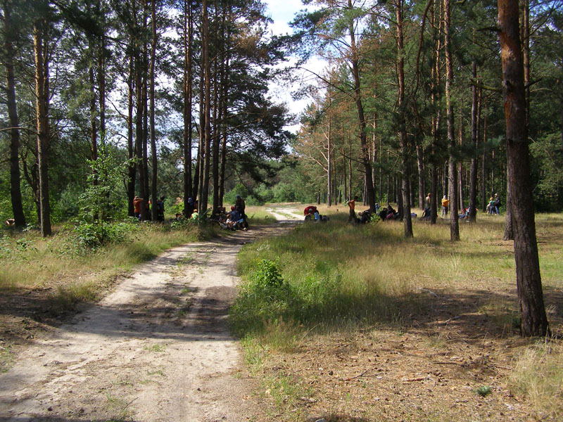 P7080334
