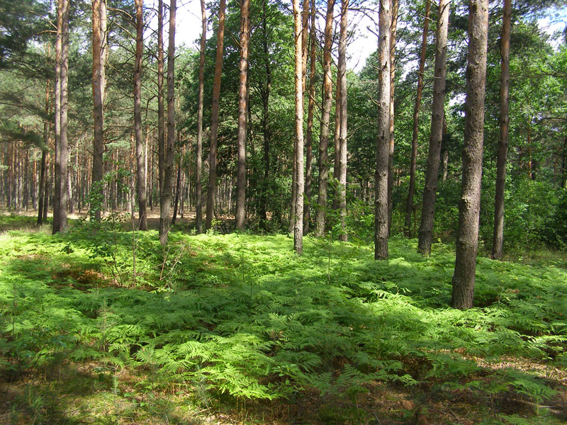 P7080342