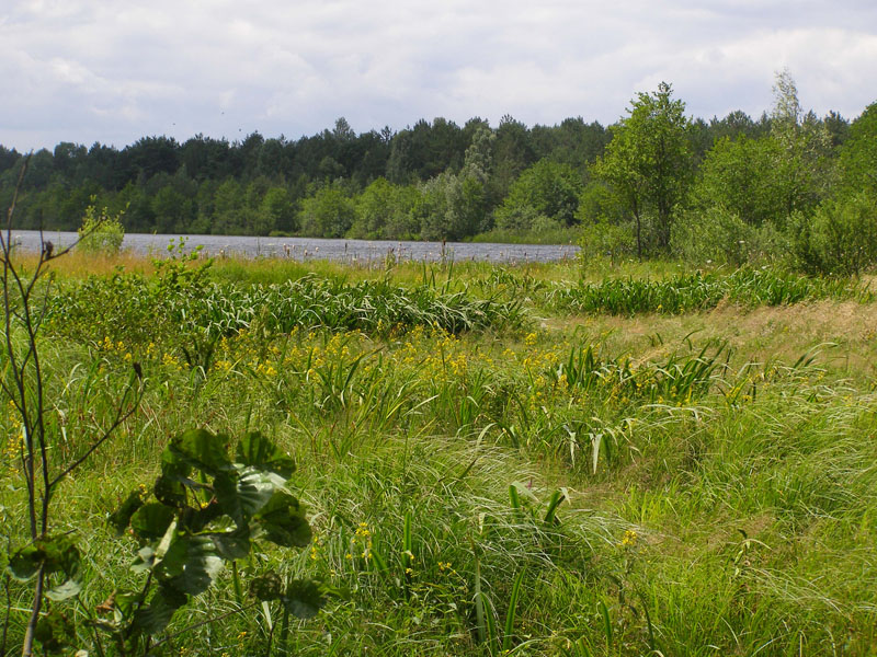 P7080344
