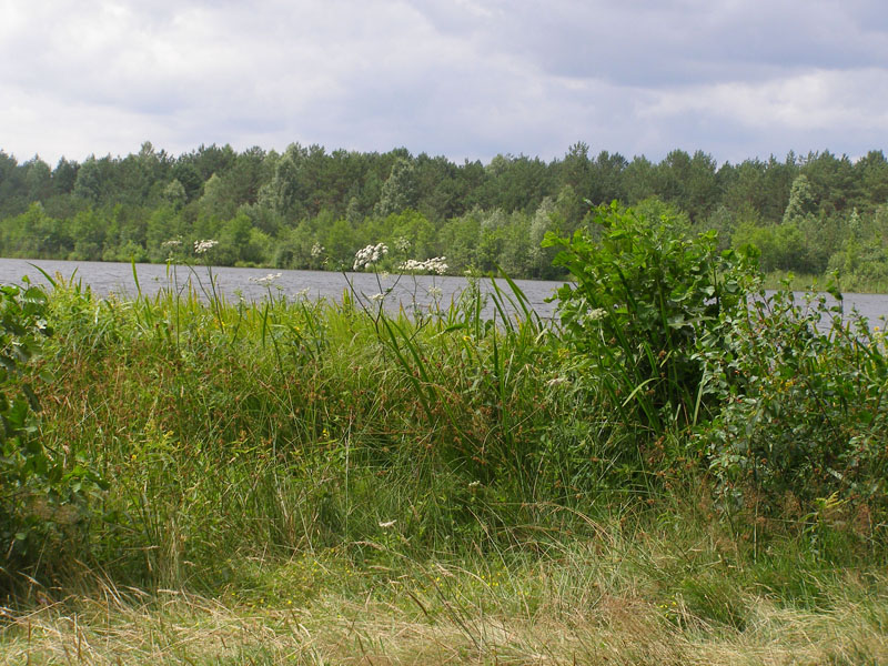 P7080350