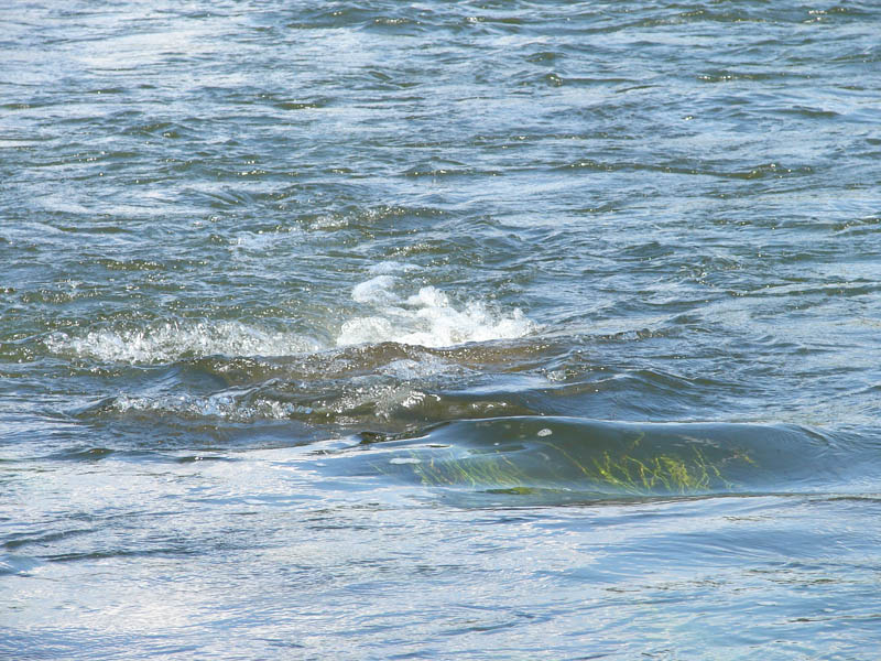 04_july_107