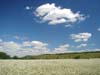 04_july_092