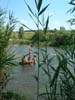 04_july_104