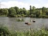 04_july_106