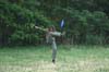 04_july_126