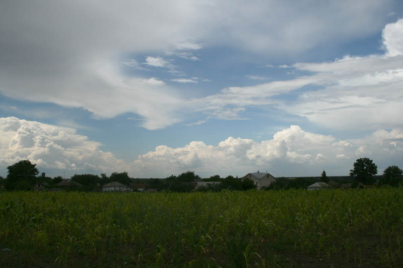 10_july_106