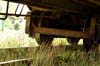 29_june_084
