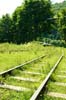 29_june_086