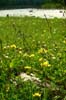 29_june_140