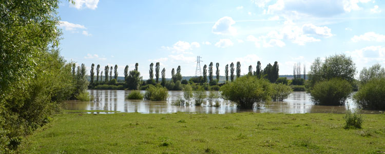 Днестр ниже Днестровской ГЭС-2