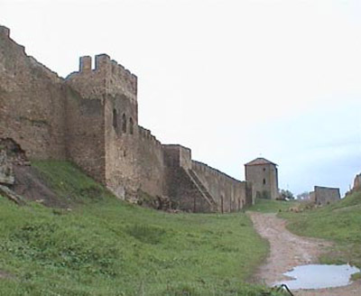  8- 
