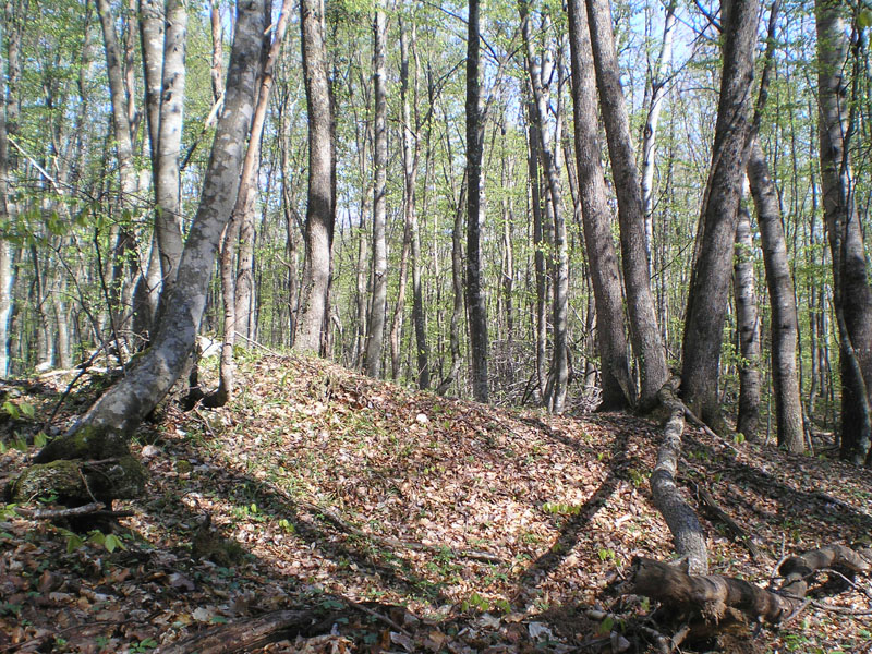 P5010184