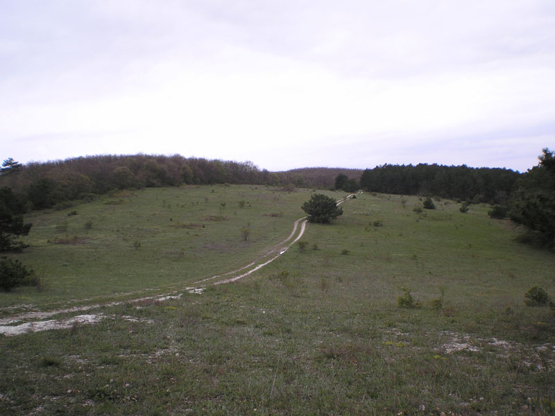 P5020251