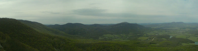 DSC02195