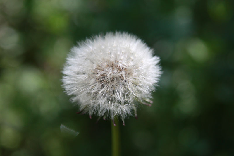 076