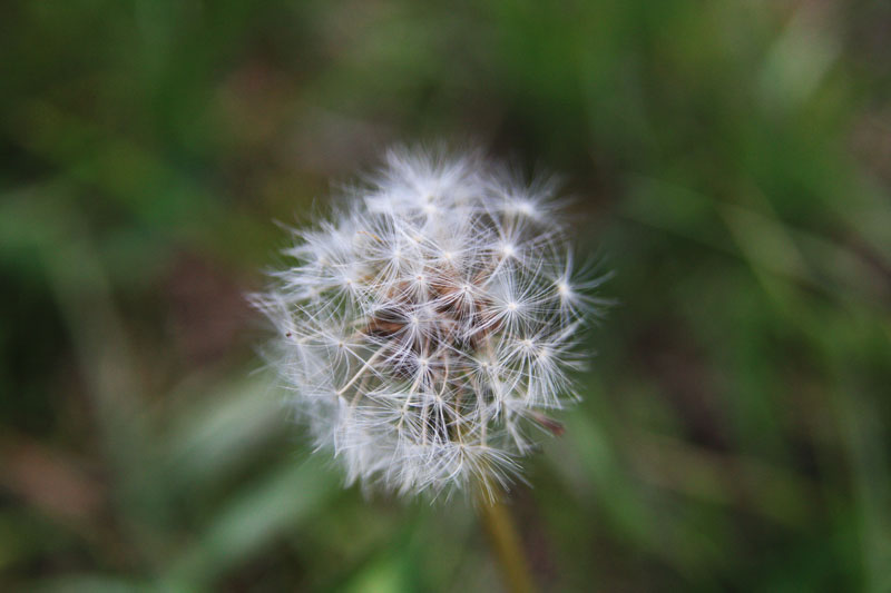 090