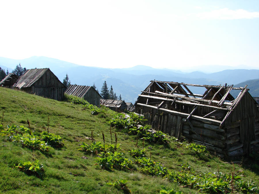 21.07_014