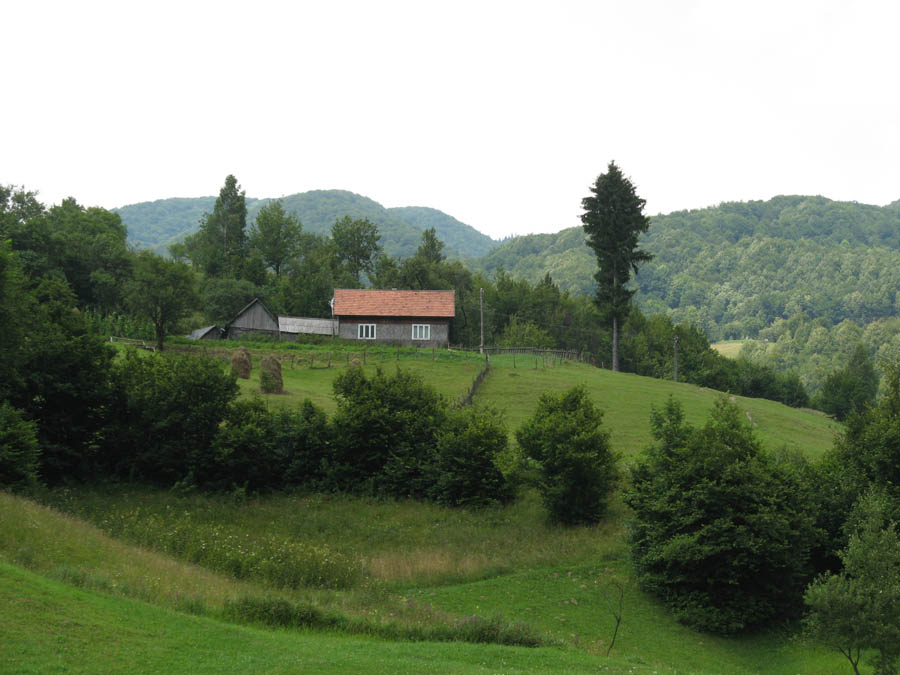 21.07_074