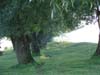 DSC00664