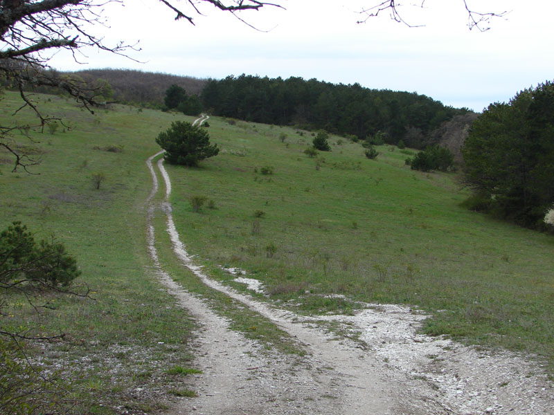 DSC01199