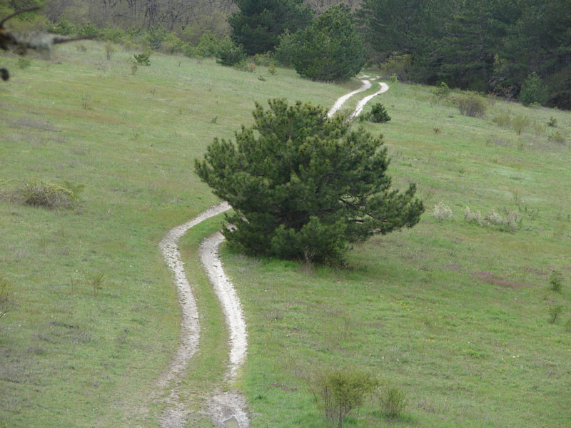 DSC01200