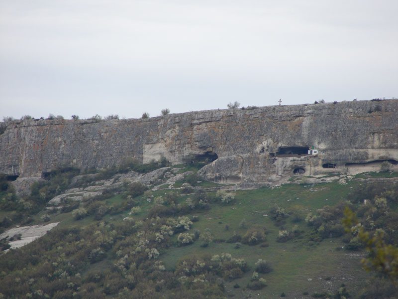DSC01206