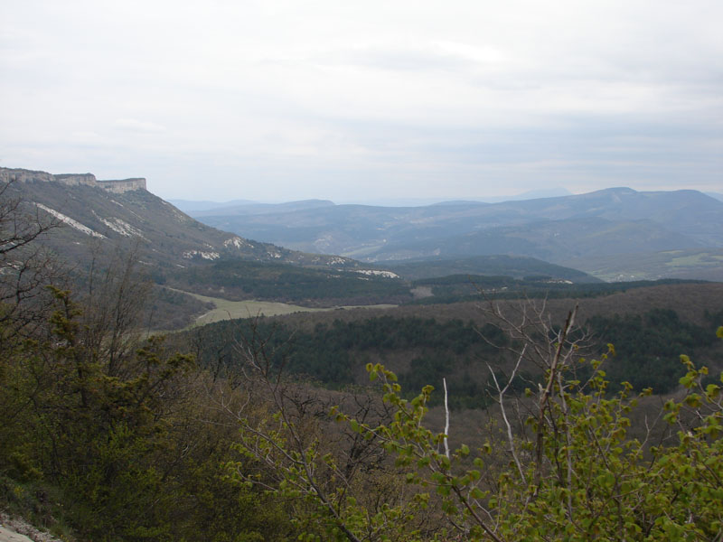 DSC01213
