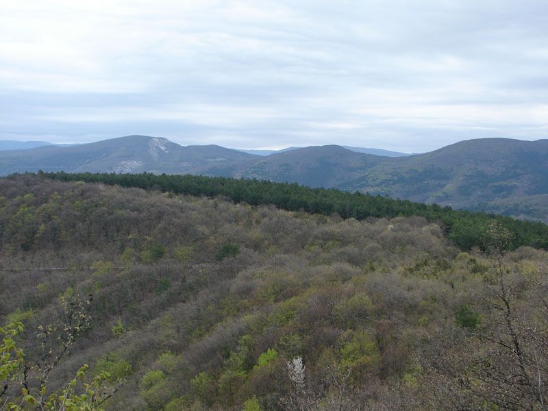 DSC01214