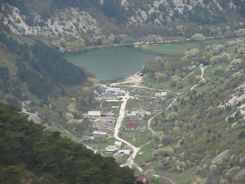 DSC01229