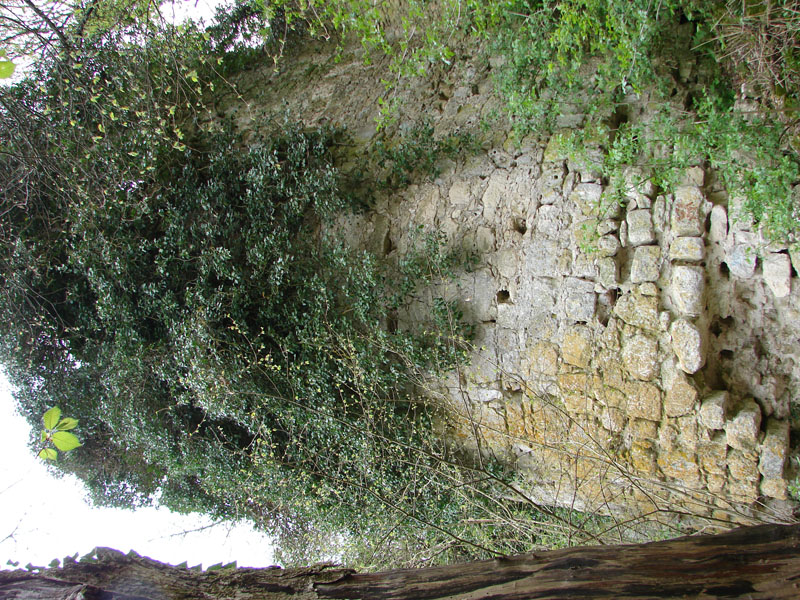 DSC01239