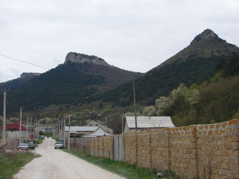 DSC01241