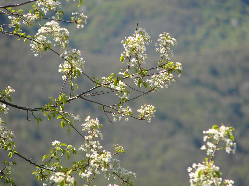 DSC01271