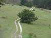 DSC01200