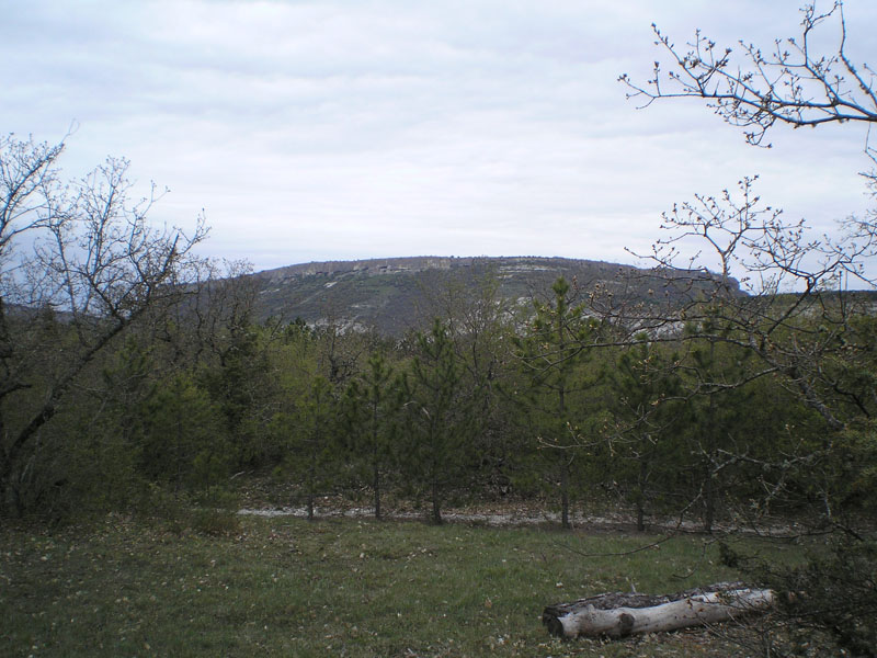 P5020254