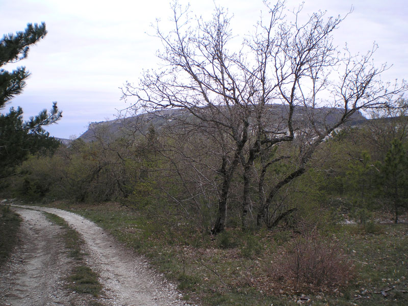 P5020258